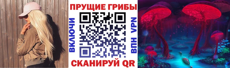 Галлюциногенные грибы мицелий  Новоуральск 