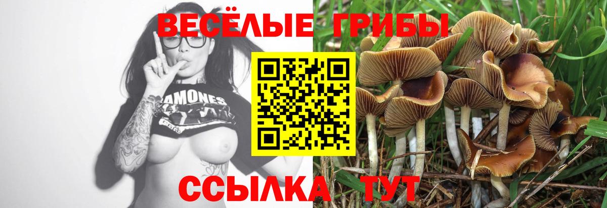 Новоуральск  Псилоцибиновые грибы Psilocybine cubensis  Вход с VPN 