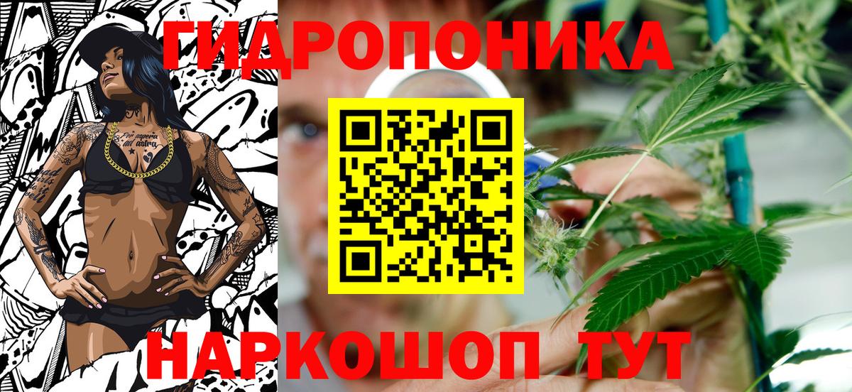 Бошки Шишки тримм  Вход с VPN  Новоуральск  Каннабис Bruce Banner  Бошки Шишки индика  Бошки Шишки конопля 